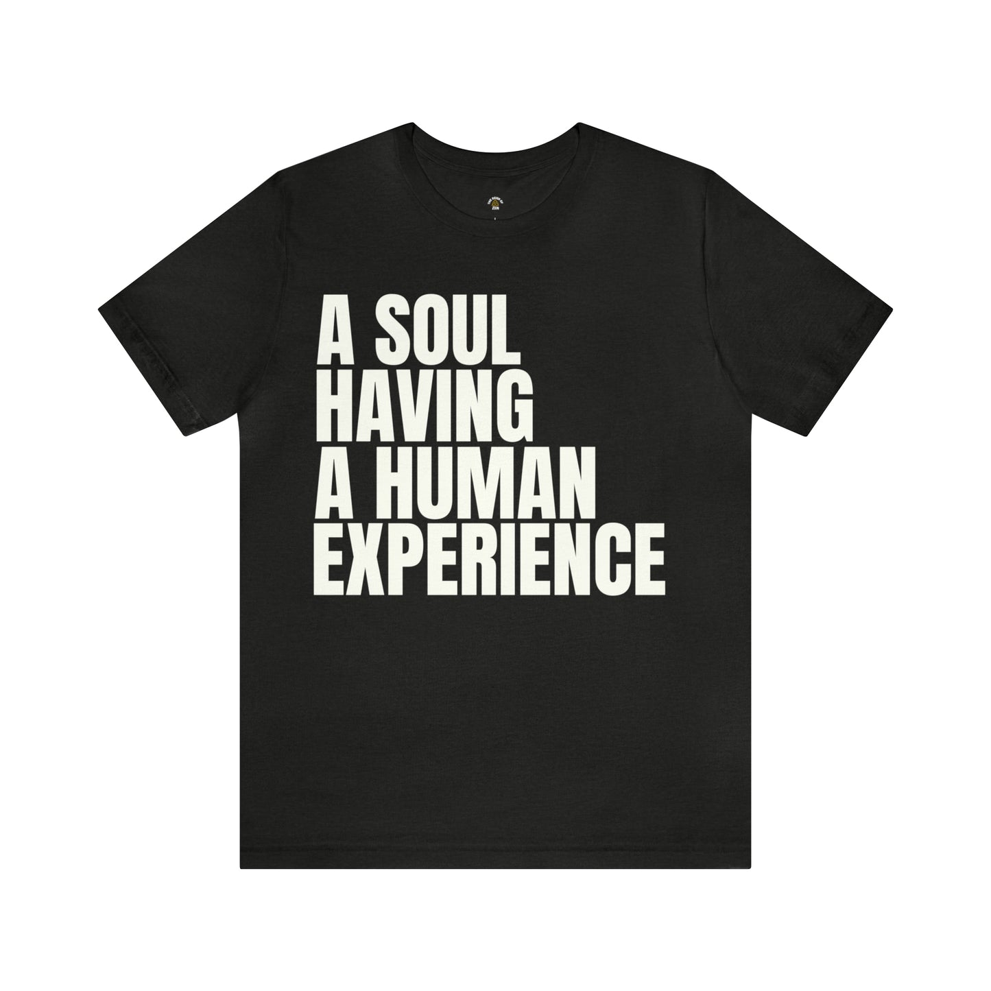 A Soul is Having a Human Experience- Tshirt
